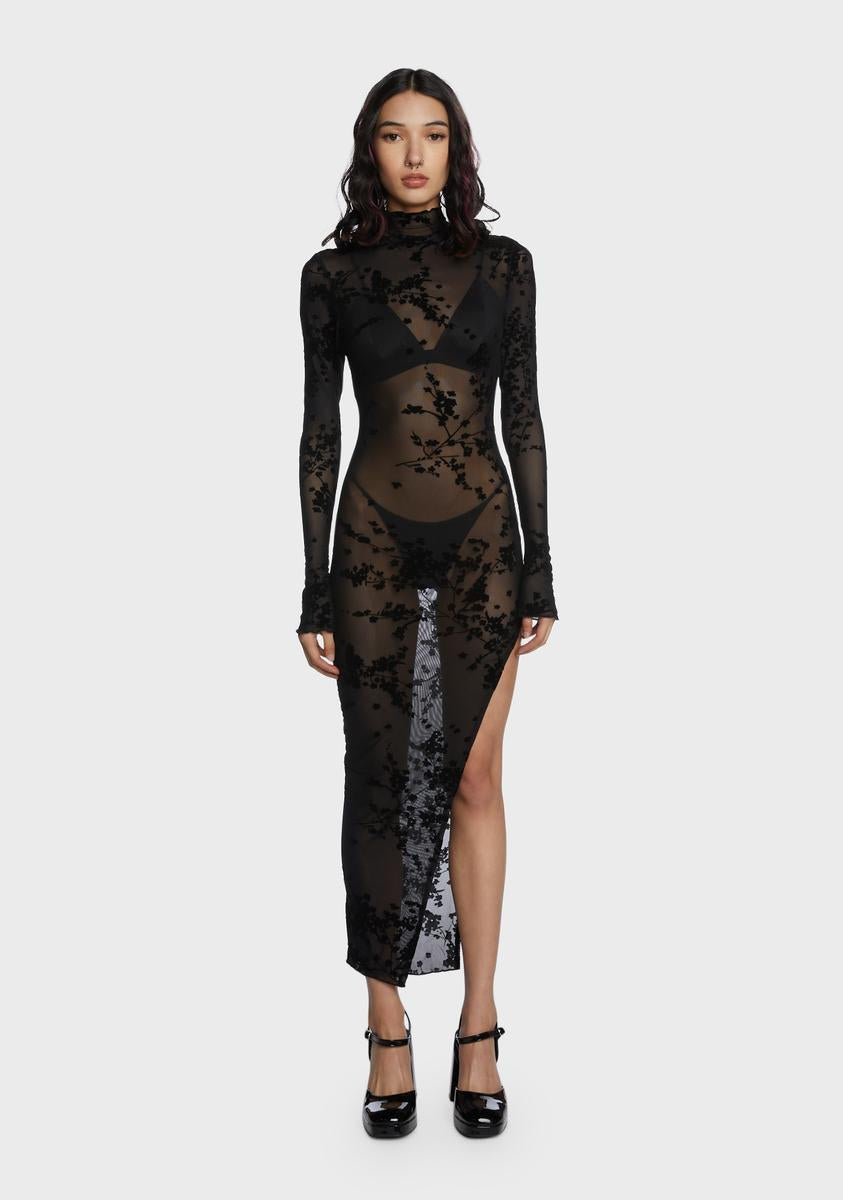 dollskill sheer dress Shivered Spine Maxi Dress