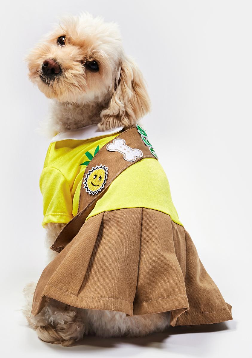 420 Weed Scout Dog Costume Dolls Kill 420 Weed Scout Dog Costume Dolls Kill