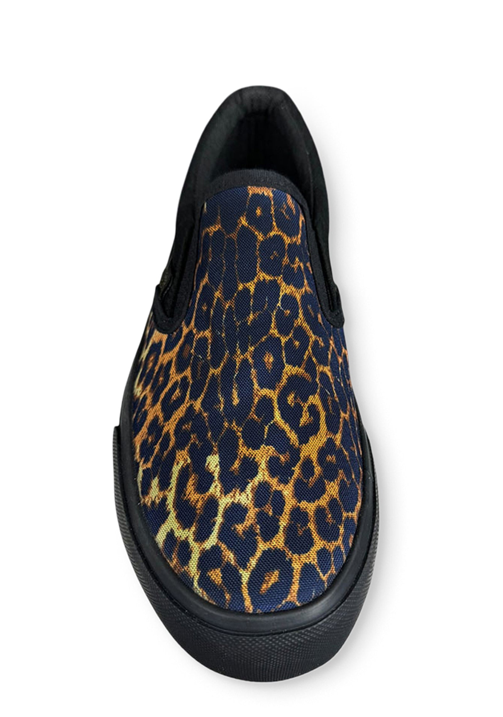 six|leopard