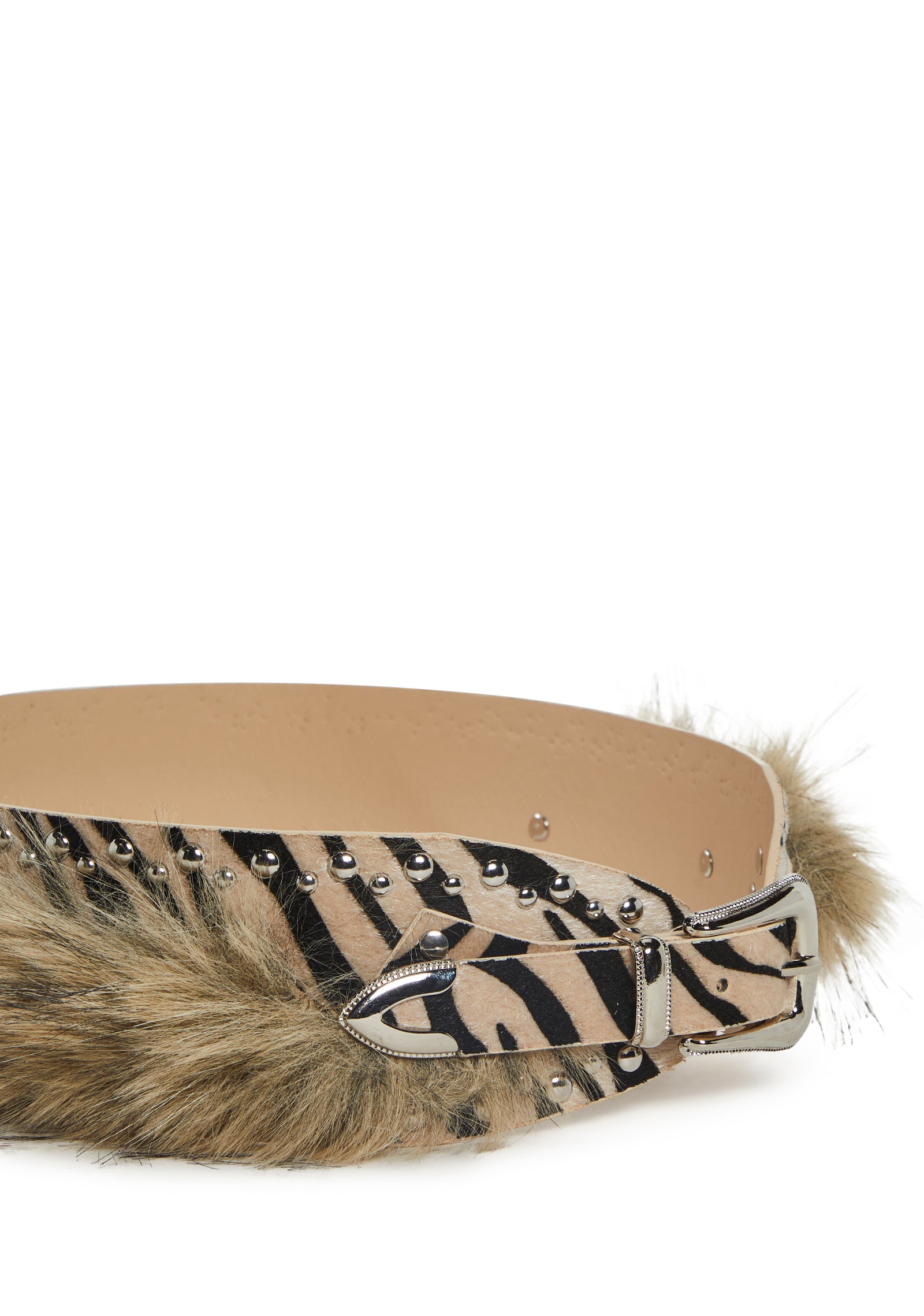 six|zebra