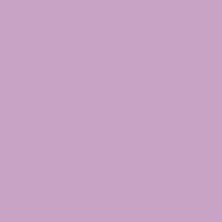 #color_light purple