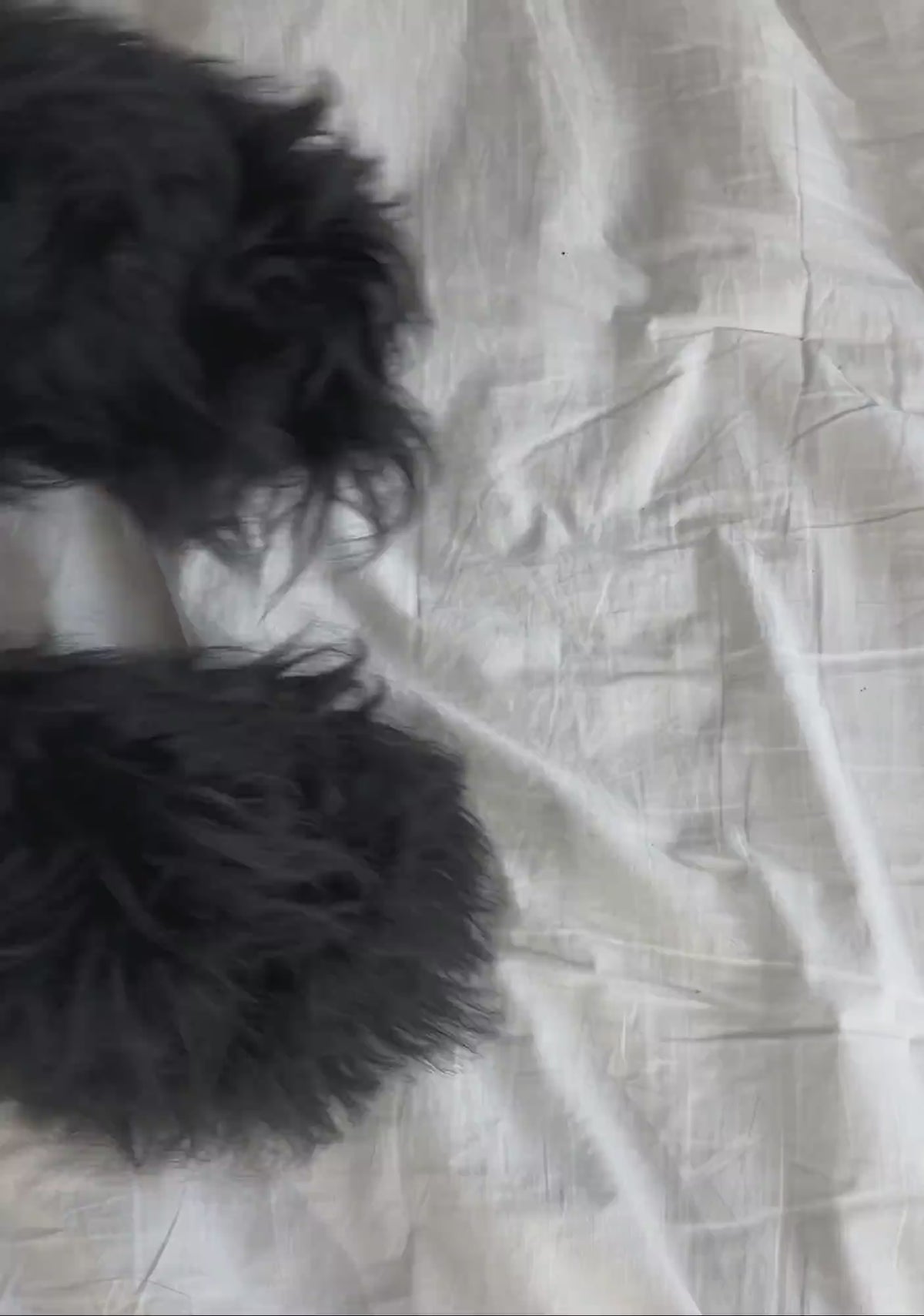 video|black