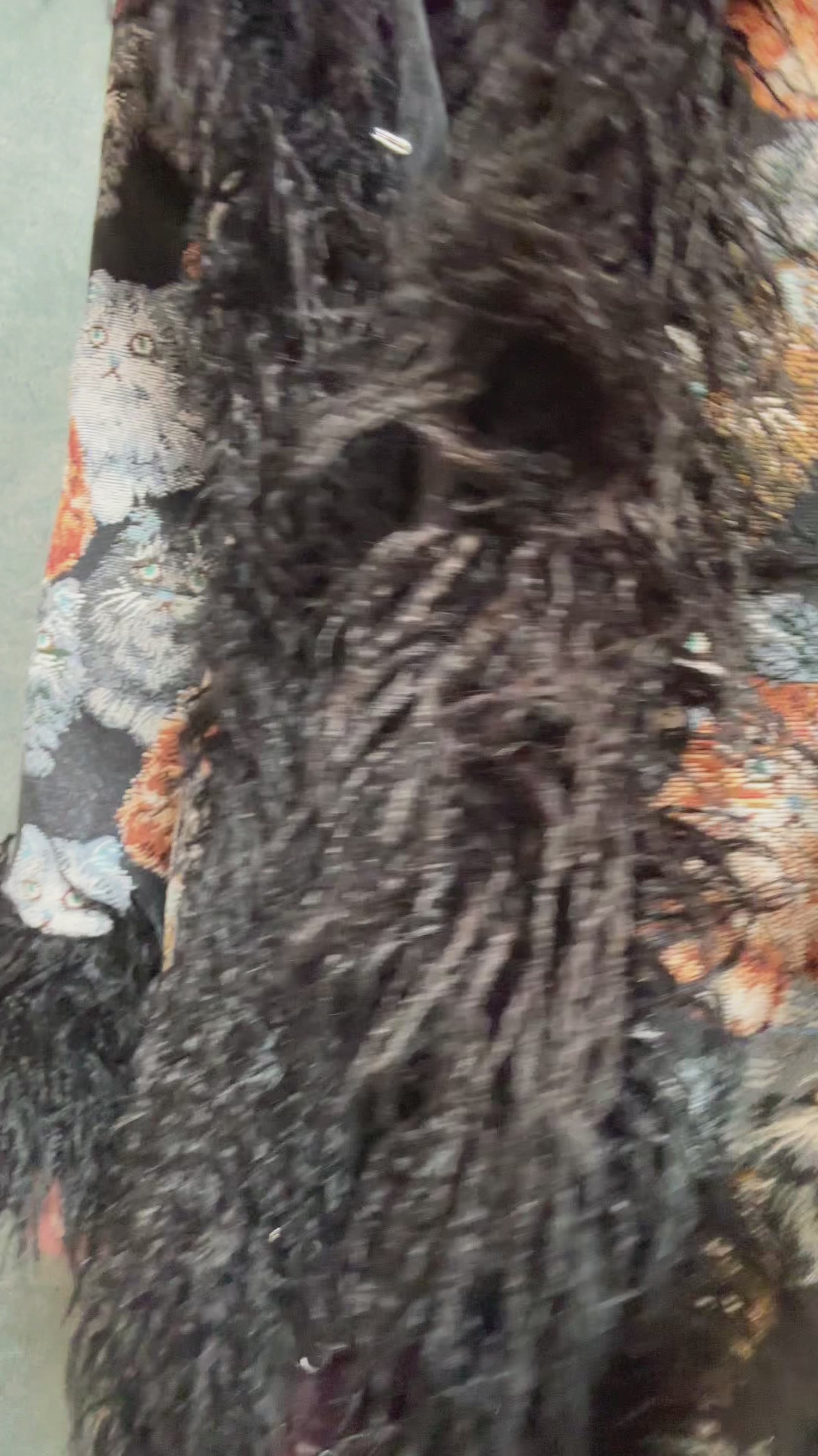 Cat Fancies Tapestry Coat