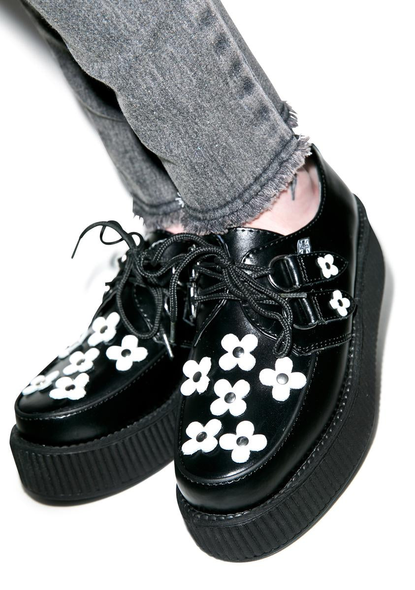 Flower Viva Mondo Creeper