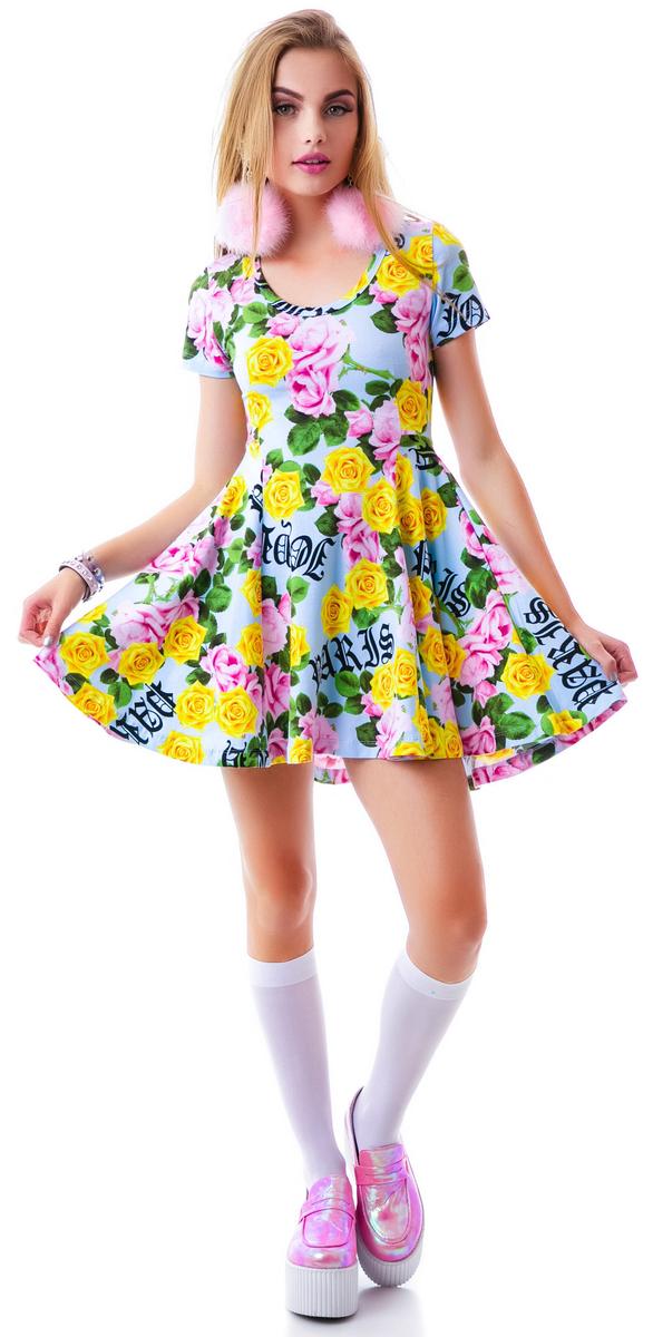 Memorial Garden Skater Dress – Dolls Kill