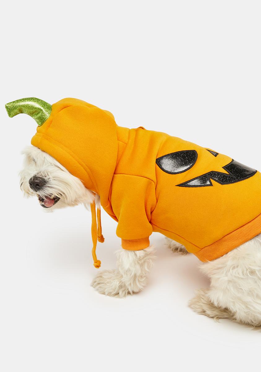 DIY Halloween Pumpkin Hoodie for Dogs