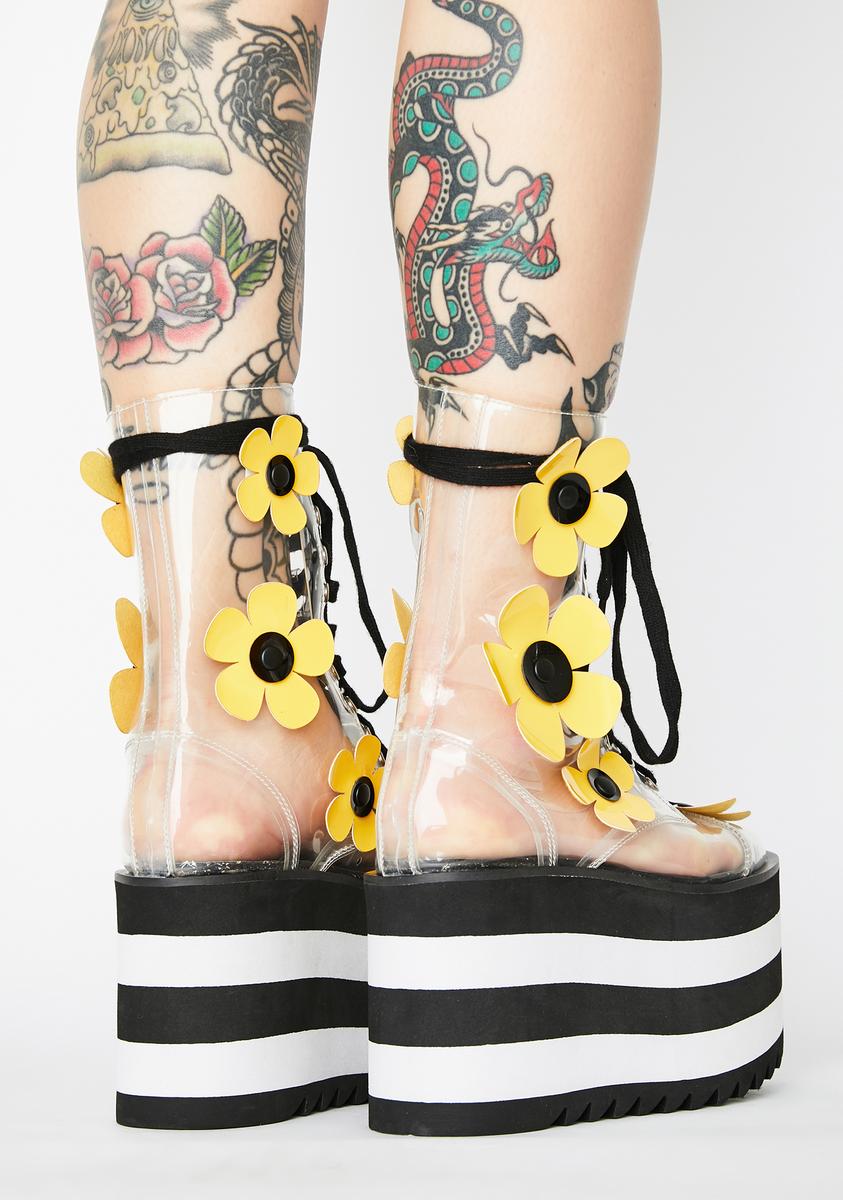 【韓国Attends アテンズ】Jelly hard dots dot's case Travel Accessories, Wallets and Keychains – DazzleUSA